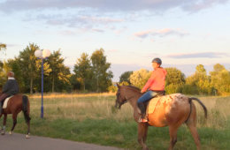 Reiter mit Pferden in Wulfen auf Fehmarn