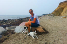 Hunde haben Spass am Strand auf Fehmarn 